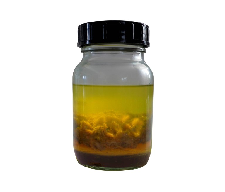 Diesel plague: formation of micro-sludge in the fuel. Diesel plague: formation of micro-sludge in the fuel.
