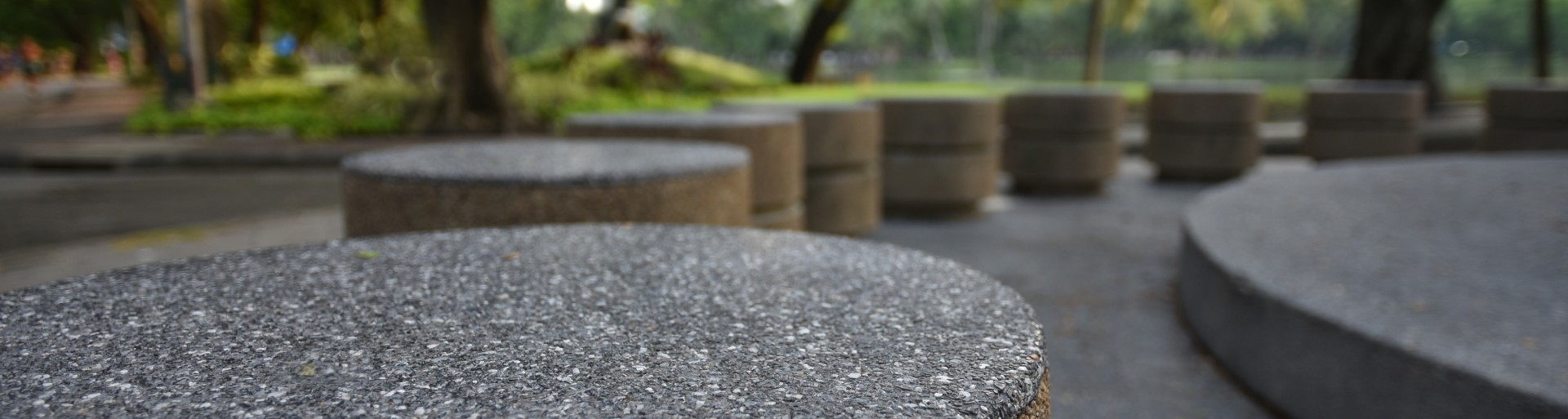 Circular ordered stone bollards with a background of grass and tree-trunks